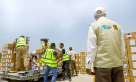 Humanitarian Development Programme signs partnership agreement with the Social Fund for Development